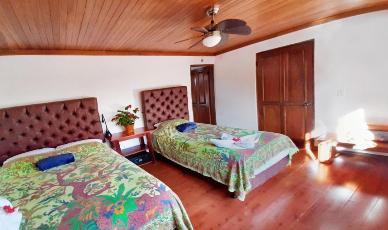 Luna Inn B&B Ciudad Cariari المظهر الخارجي الصورة